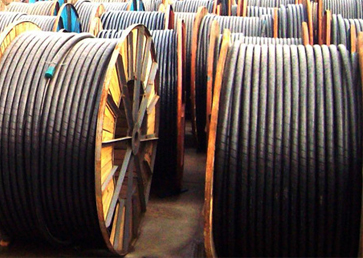 行業動態局勢報道